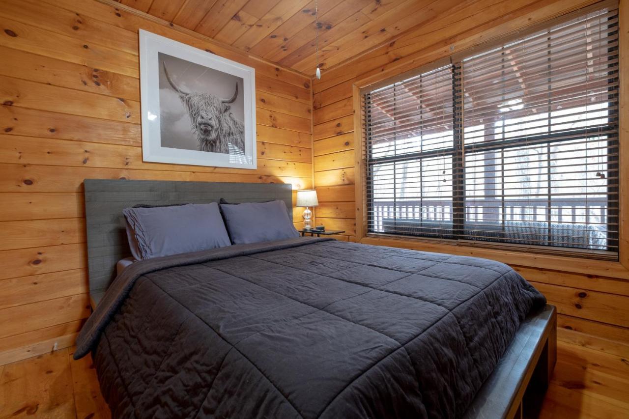 Three Dog Night - Pet-Friendly Cabin With Hot Tub Villa Blue Ridge Exterior foto