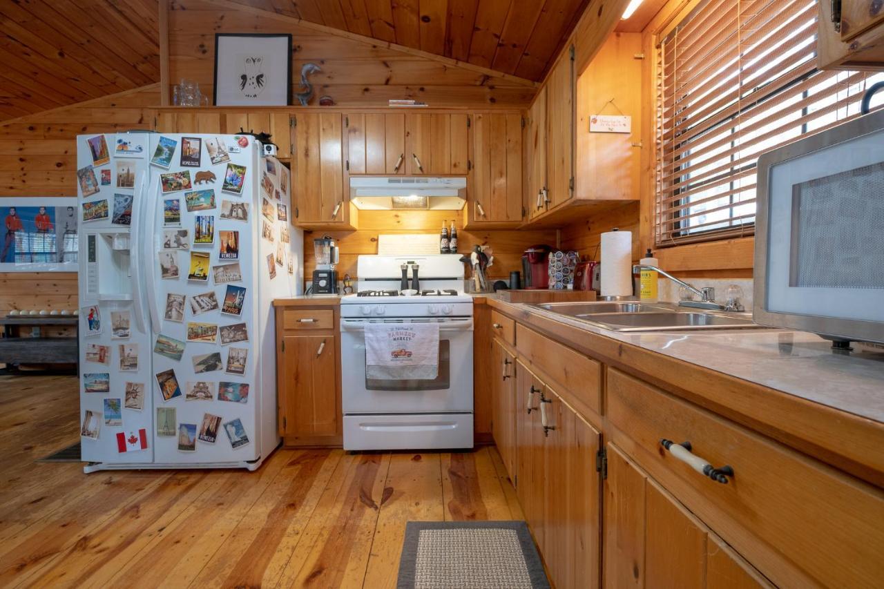 Three Dog Night - Pet-Friendly Cabin With Hot Tub Villa Blue Ridge Exterior foto