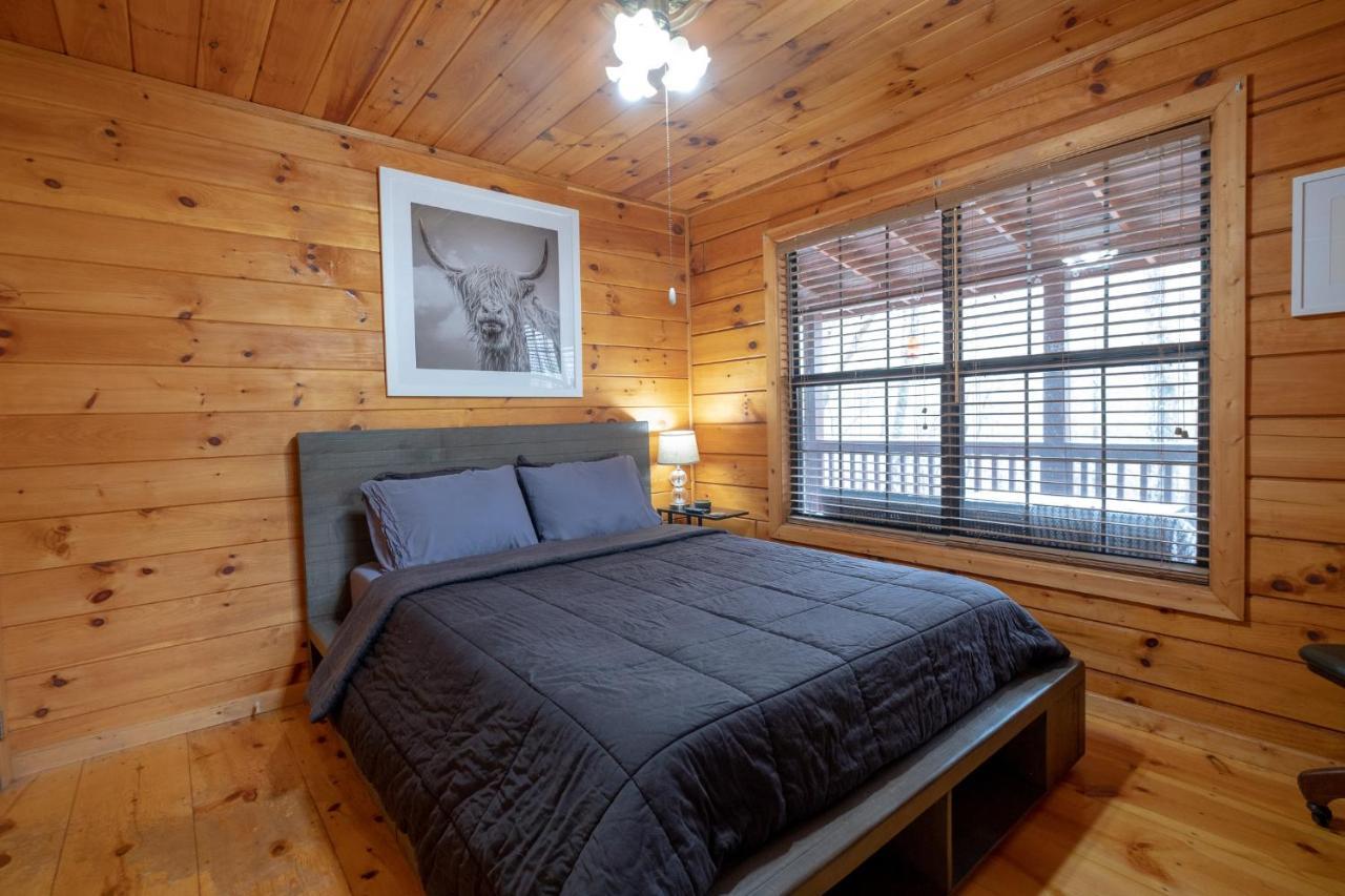 Three Dog Night - Pet-Friendly Cabin With Hot Tub Villa Blue Ridge Exterior foto