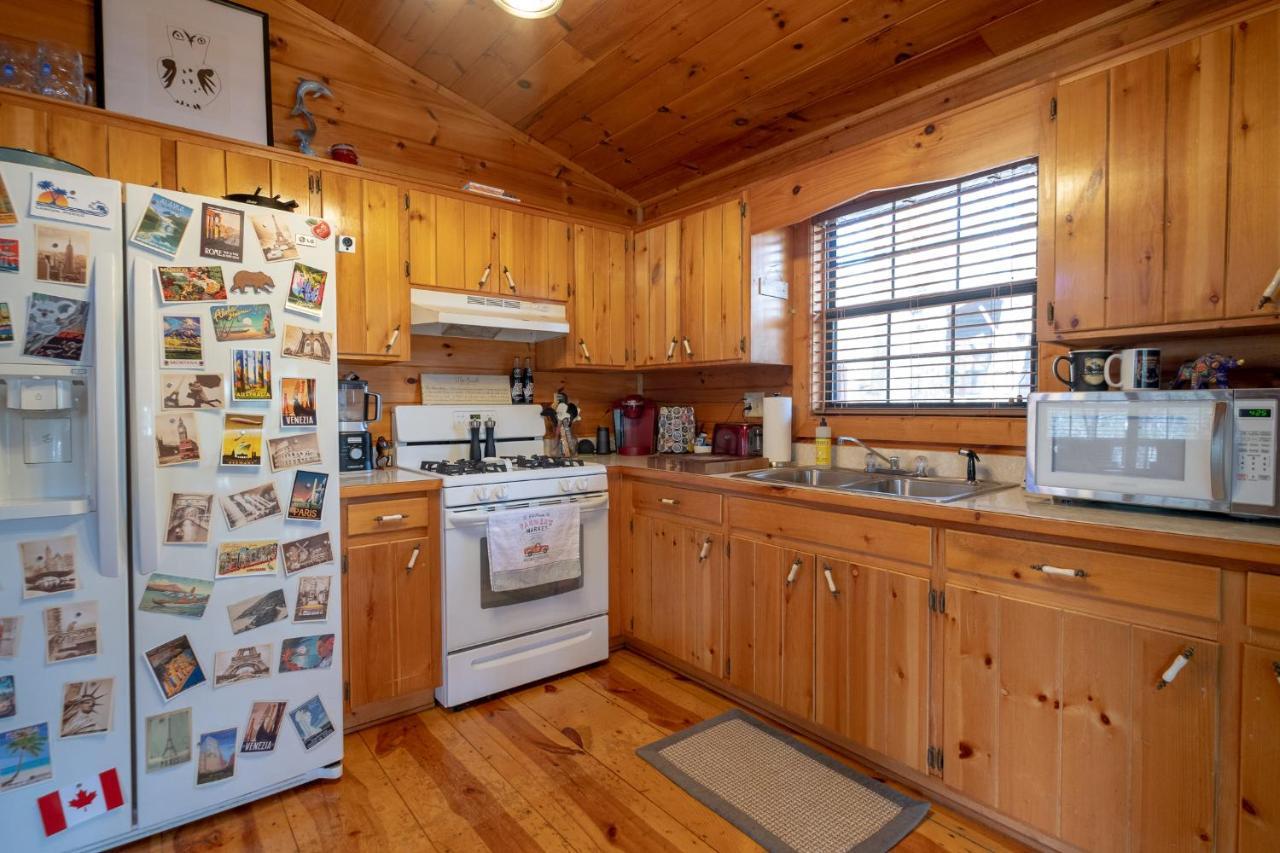 Three Dog Night - Pet-Friendly Cabin With Hot Tub Villa Blue Ridge Exterior foto