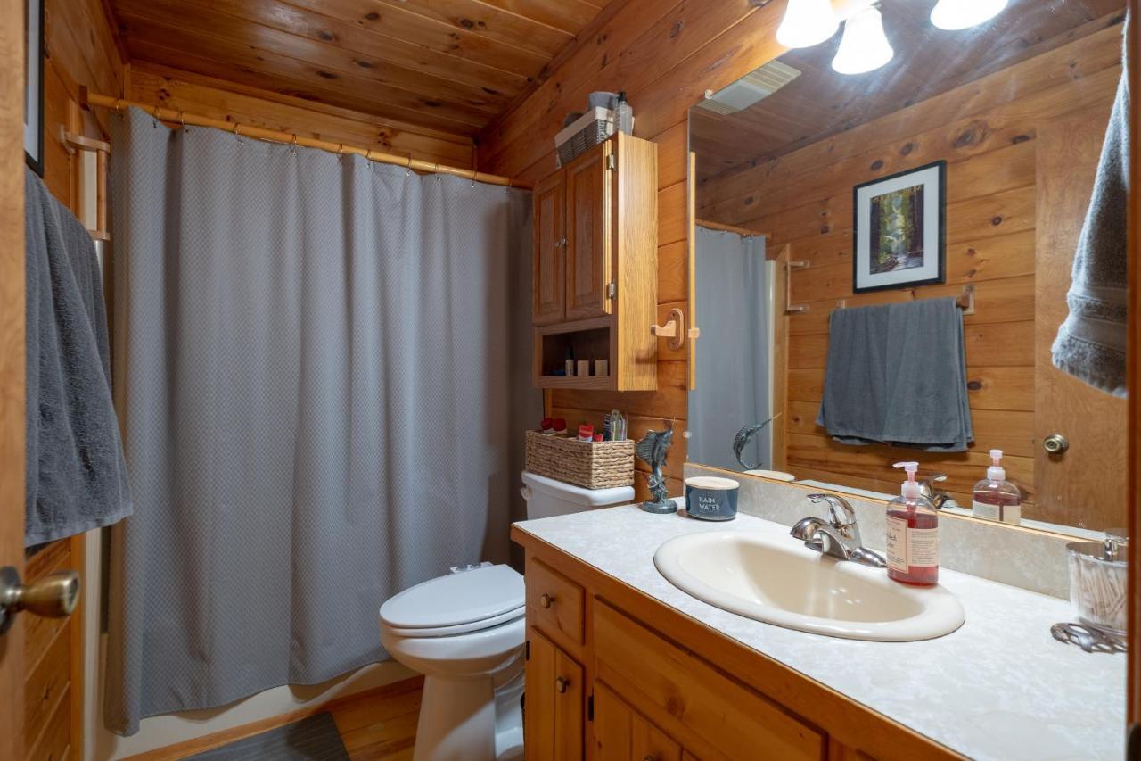 Three Dog Night - Pet-Friendly Cabin With Hot Tub Villa Blue Ridge Exterior foto