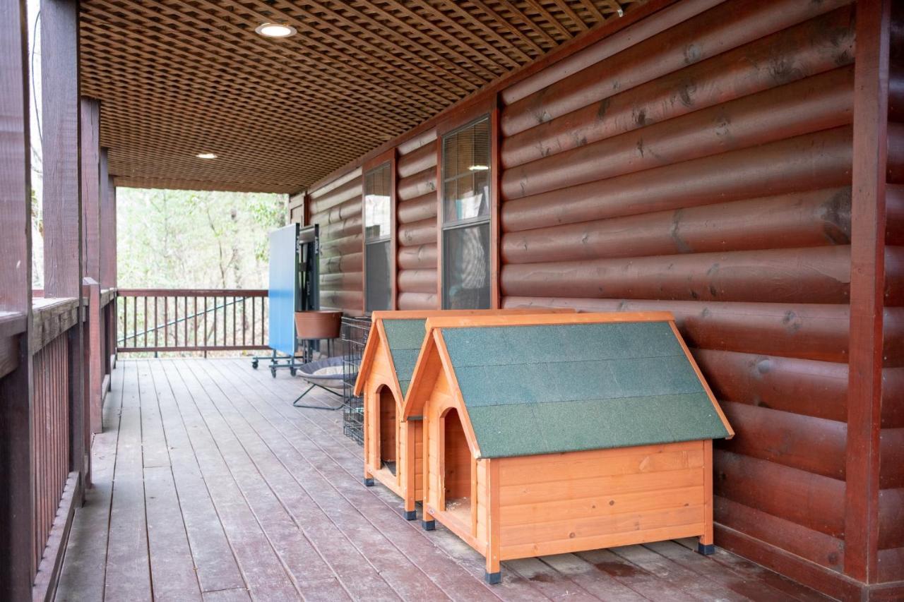 Three Dog Night - Pet-Friendly Cabin With Hot Tub Villa Blue Ridge Exterior foto
