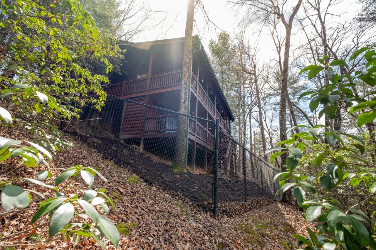 Three Dog Night - Pet-Friendly Cabin With Hot Tub Villa Blue Ridge Exterior foto