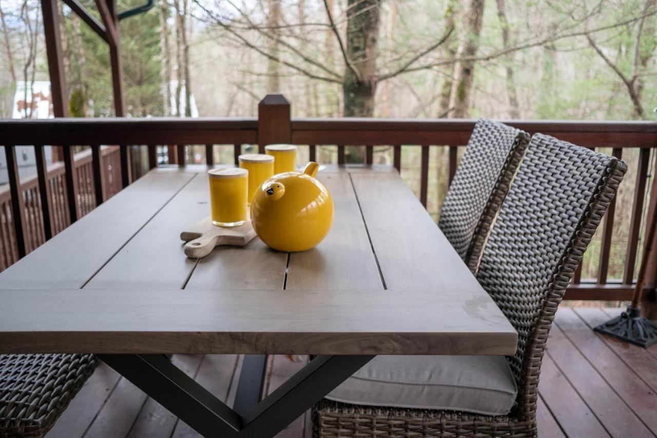 Three Dog Night - Pet-Friendly Cabin With Hot Tub Villa Blue Ridge Exterior foto